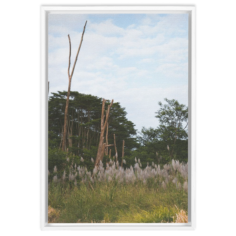 media image for Meadow Framed Canvas 263