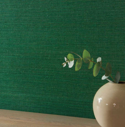 product image for Kanoko Grasscloth Wallpaper in Emerald 37