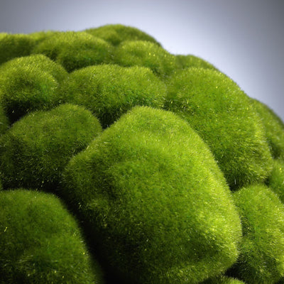 product image for Large Moss Sphere design by Cyan Design 94