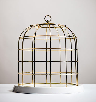 product image of twitable gold metal birdcage w porcelain base design by seletti 1 585
