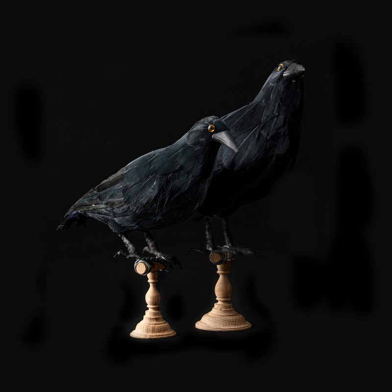 media image for artificial birds small crow design by puebco 3 217