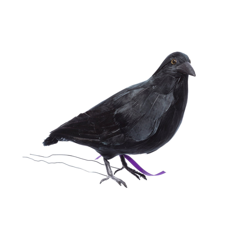 media image for crow large design by puebco 2 238