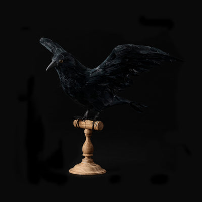 product image of flying crow design by puebco 1 576