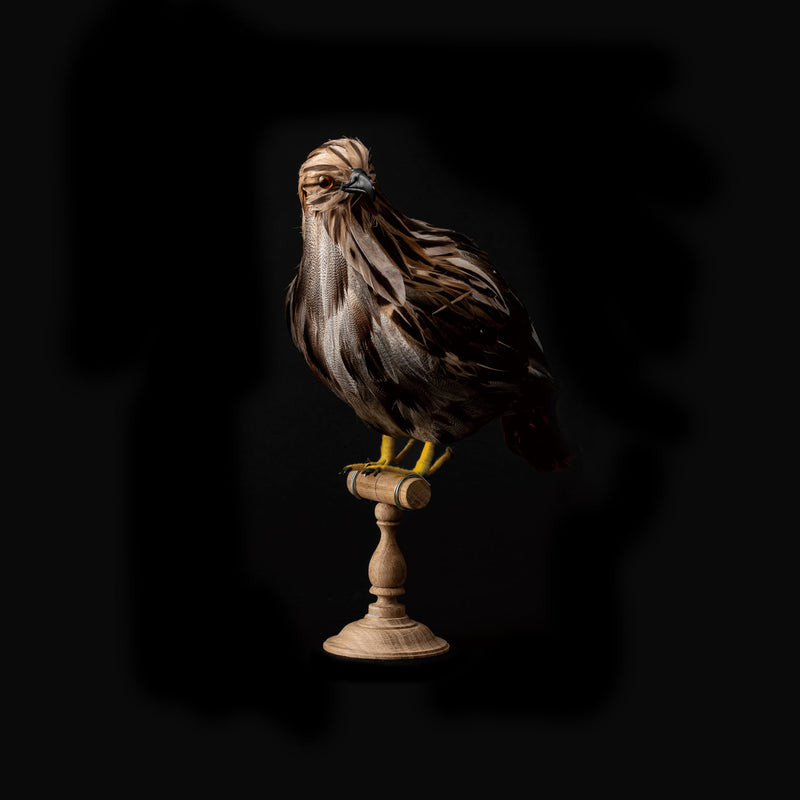 media image for eagle large design by puebco 1 239