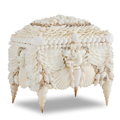 product image for Boardwalk Shell Jewelry Box 2 84
