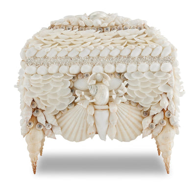 product image for Boardwalk Shell Jewelry Box 5 47