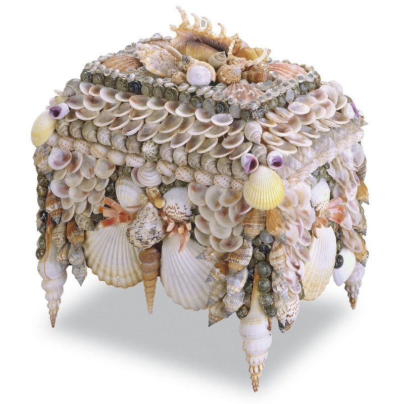media image for Boardwalk Shell Jewelry Box 1 284