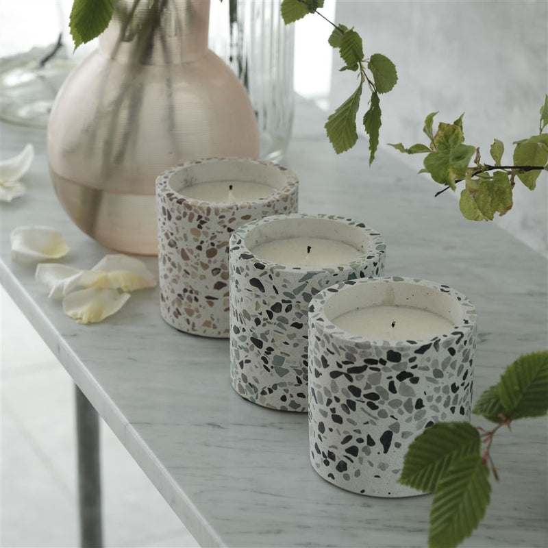 media image for Woodland Fern Candle By Designers Guild 227