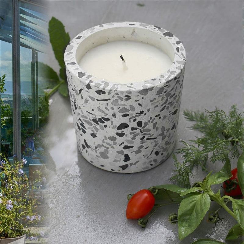 media image for Glasshouse Candle By Designers Guild 283