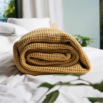 product image for Alba Porcelain Cotton Throw By Designers Guildbldg0286 4 65