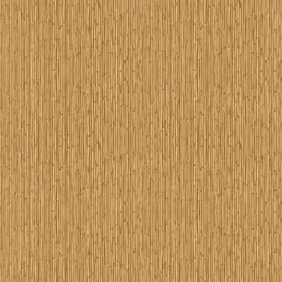 product image of Bamboo Yellow Wallpaper from the Into the Wild Collection by Galerie Wallcoverings 569