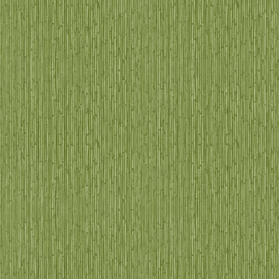 product image of Bamboo Green Wallpaper from the Into the Wild Collection by Galerie Wallcoverings 596