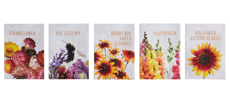 media image for The Floral Society Individual Seeds Assortment 256