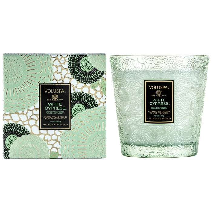 media image for 2 Wick Hearth Glass Candle in White Cypress 259