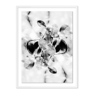 product image for Black & White by Annie Spratt 3 68