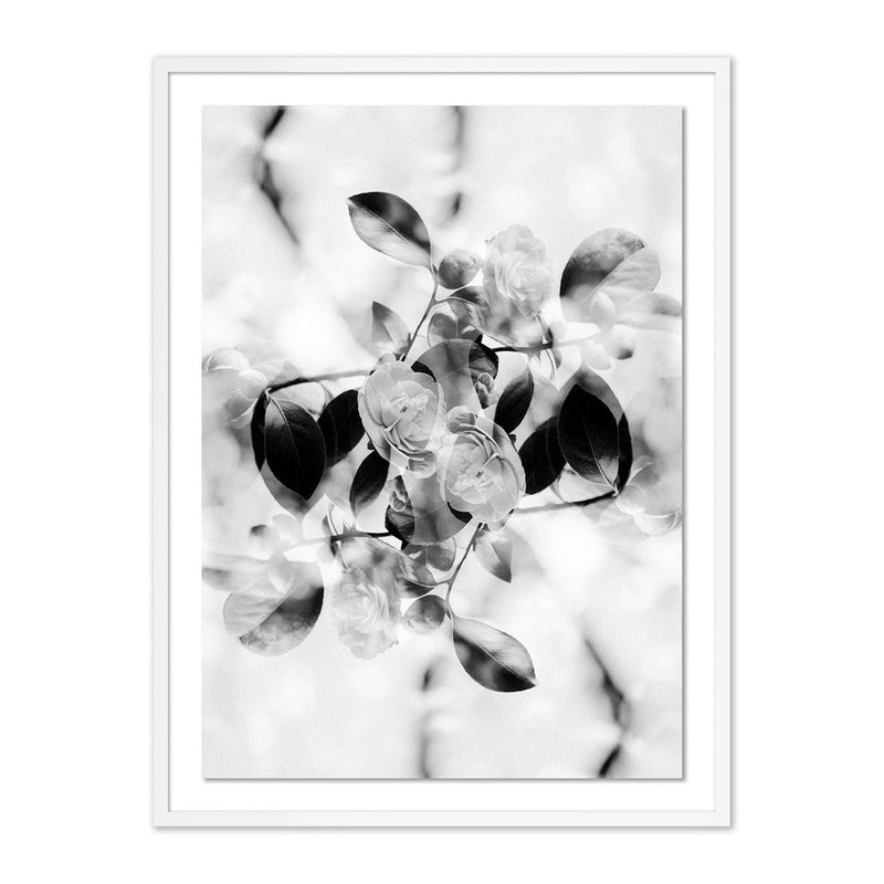 media image for Black & White by Annie Spratt 3 284