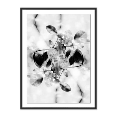 product image of Black & White by Annie Spratt 1 52