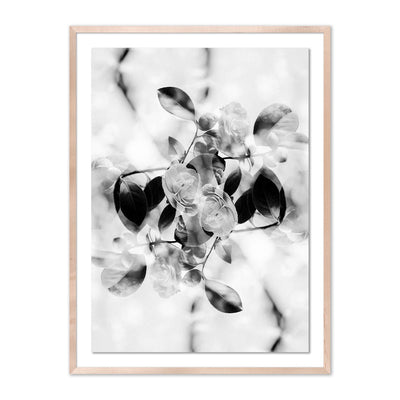 product image for Black & White by Annie Spratt 2 87