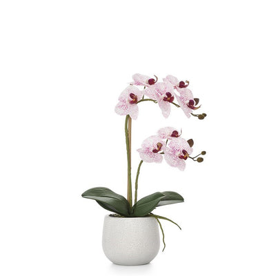 product image for phalaenopsis potted 18 faux double stem orchid pink by torre tagus 2 40