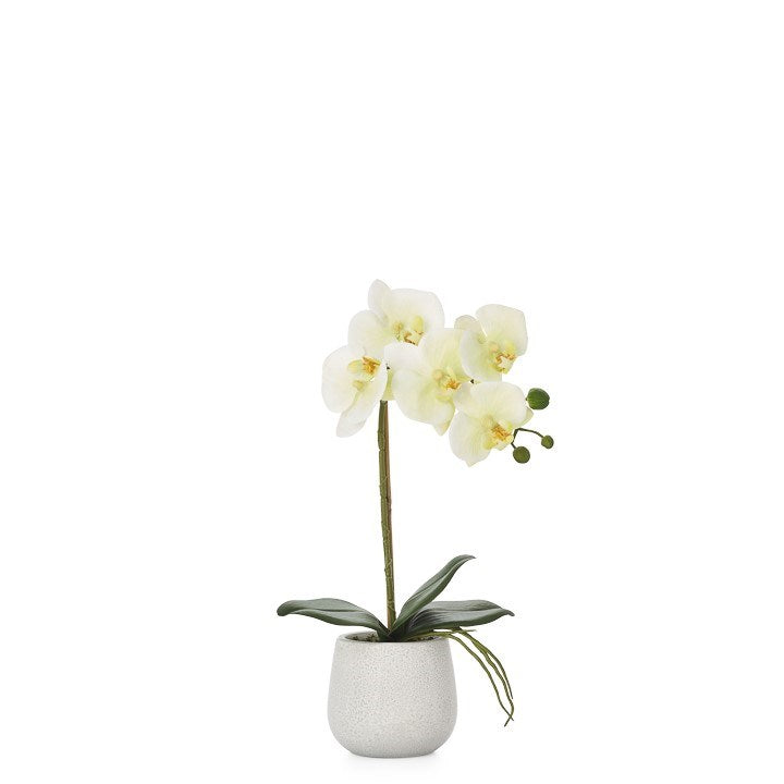 media image for phalaenopsis potted 15 faux single stem orchid yellow by torre tagus 2 260