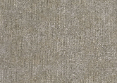 product image of Unito Airone Wallpaper in Taupe 574