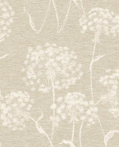 product image of Carolyn Bone Dandelion Wallpaper from the Nature by Advantage Collection by Brewster Home Fashions 563
