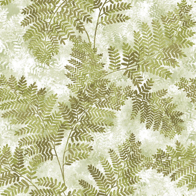 media image for Cyathea Light Green Fern Wallpaper from the Nature by Advantage Collection by Brewster Home Fashions 248