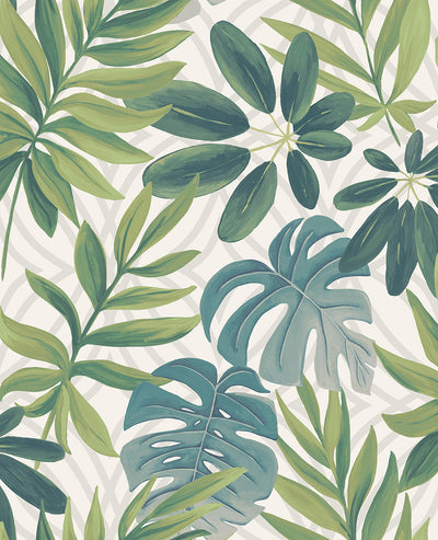 product image of Nocturnum Green Leaves Wallpaper 56