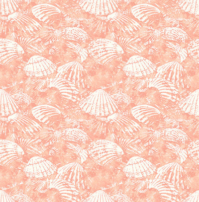 product image of Surfside Coral Shells Wallpaper 538