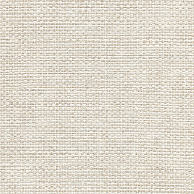 product image of Caviar Platinum Basketweave Wallpaper from the Warner XI Collection by Brewster Home Fashions 526