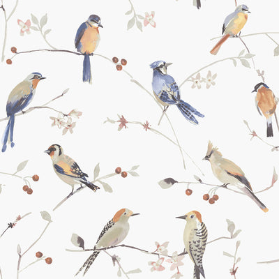 product image for Birdsong Orange Trail Wallpaper from the Thoreau Collection by Brewster 36