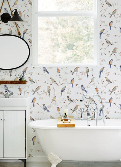 product image for Birdsong Orange Trail Wallpaper from the Thoreau Collection by Brewster 13