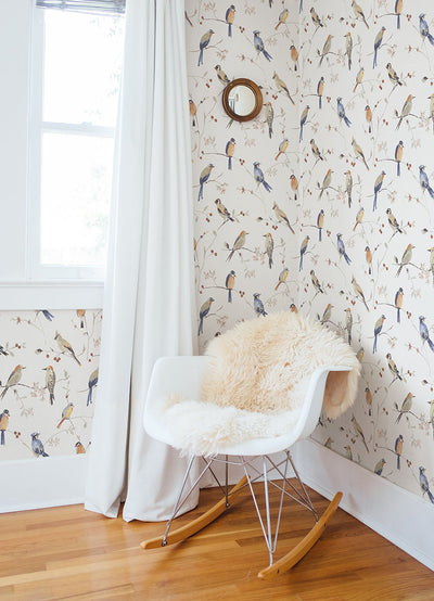 product image for Birdsong Orange Trail Wallpaper from the Thoreau Collection by Brewster 61