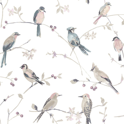 product image of Birdsong Mauve Trail Wallpaper from the Thoreau Collection by Brewster 549