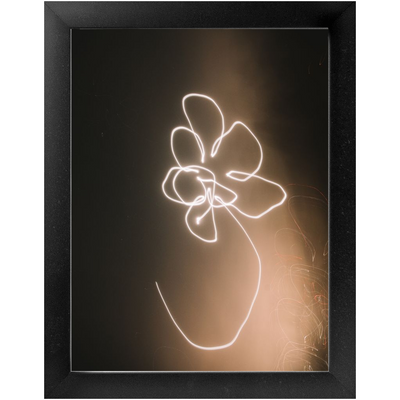 product image for moon flower framed photo 2 84