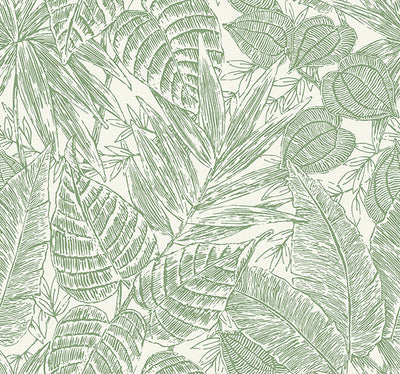 product image for Brentwood Green Palm Leaves Wallpaper by Scott Living 35