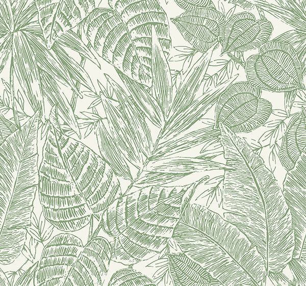 media image for Brentwood Green Palm Leaves Wallpaper by Scott Living 247