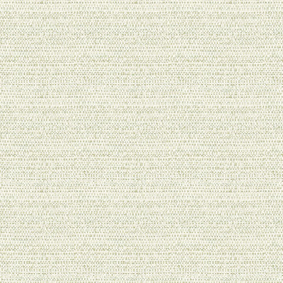 product image of Balantine Sage Weave Wallpaper from the Delphine Collection by Brewster 587