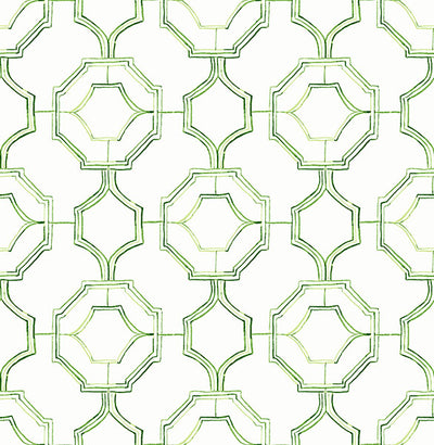 product image of Gallina Green Trellis Wallpaper from the Happy Collection by Brewster 594
