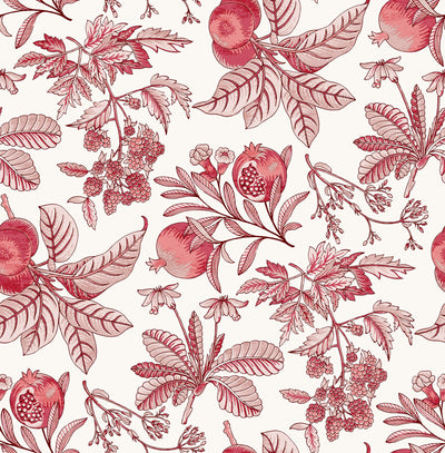 product image of Cecilia Red Fruit Wallpaper 555
