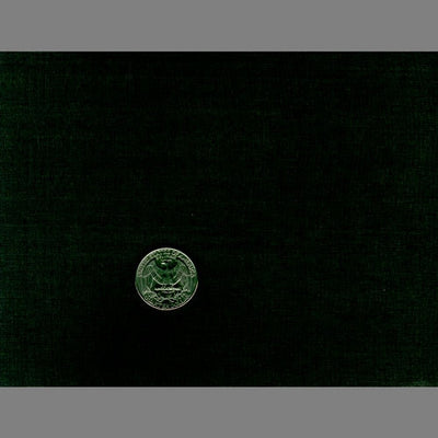 product image of Green Dark Japanese  Natural Silk Wallpaper by Burke Decor 544