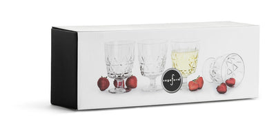 product image for set of 4 picnic glasses in various sizes design by sagaform 6 58