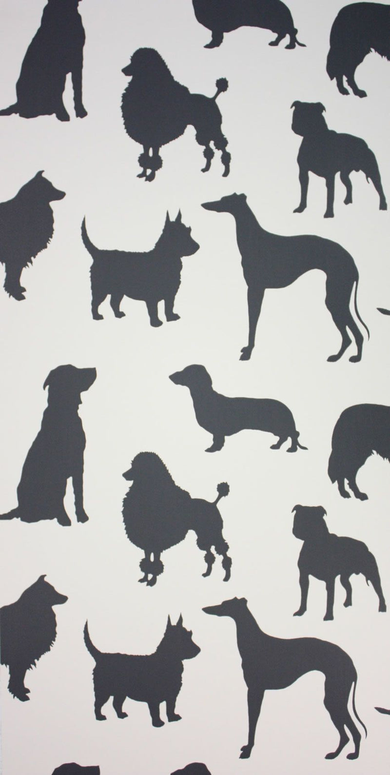 media image for Best In Show Wallpaper in black from the Walk In The Park Collection by Osborne & Little 249