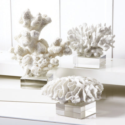 product image for Set of 3 White Coral Sculpture on Glass Stands by Twos Company 59
