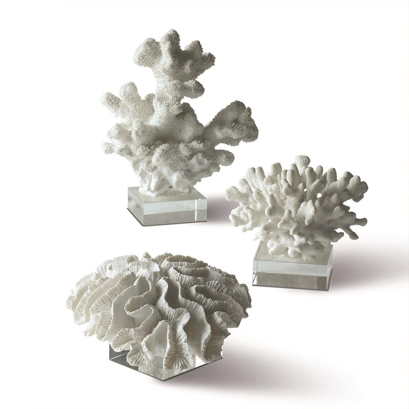 media image for white coral sculpture on glass stands by twos company 1 282