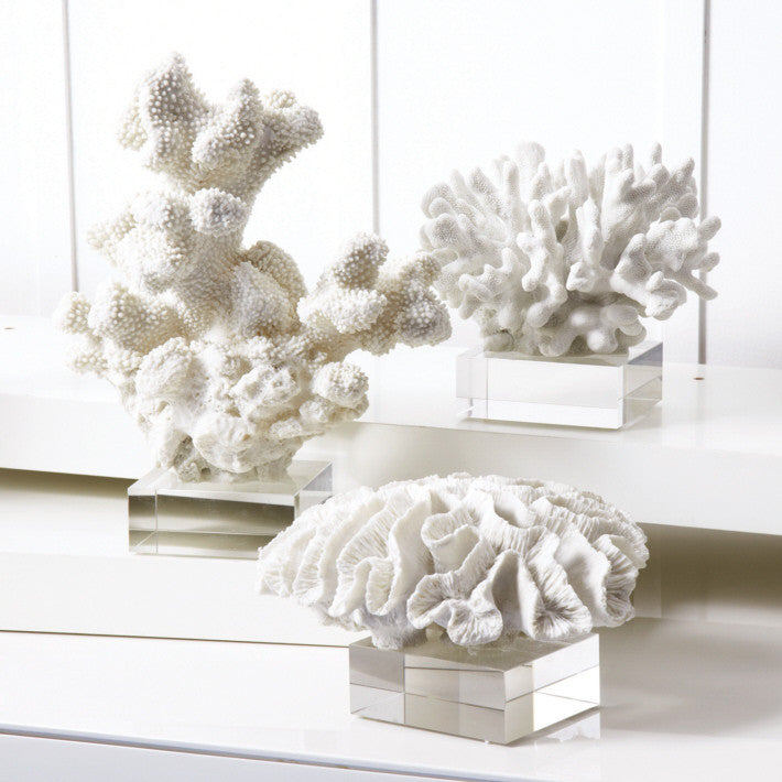 media image for Set of 3 White Coral Sculpture on Glass Stands by Twos Company 292