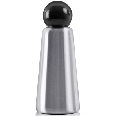 product image for Skittle Original Water Bottle - Stainless / Black 16