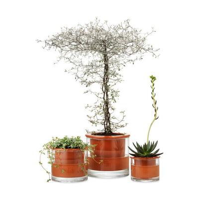 product image for Self-Watering Pot 35