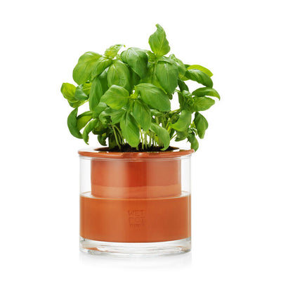 product image for Self-Watering Pot 55