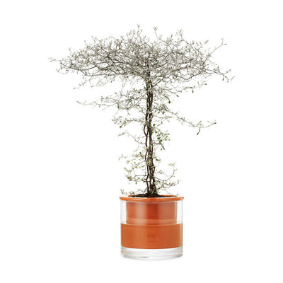 product image for Self-Watering Pot 71